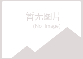 五大连池女孩咨询有限公司